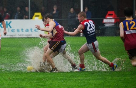 Gulls in sixth place