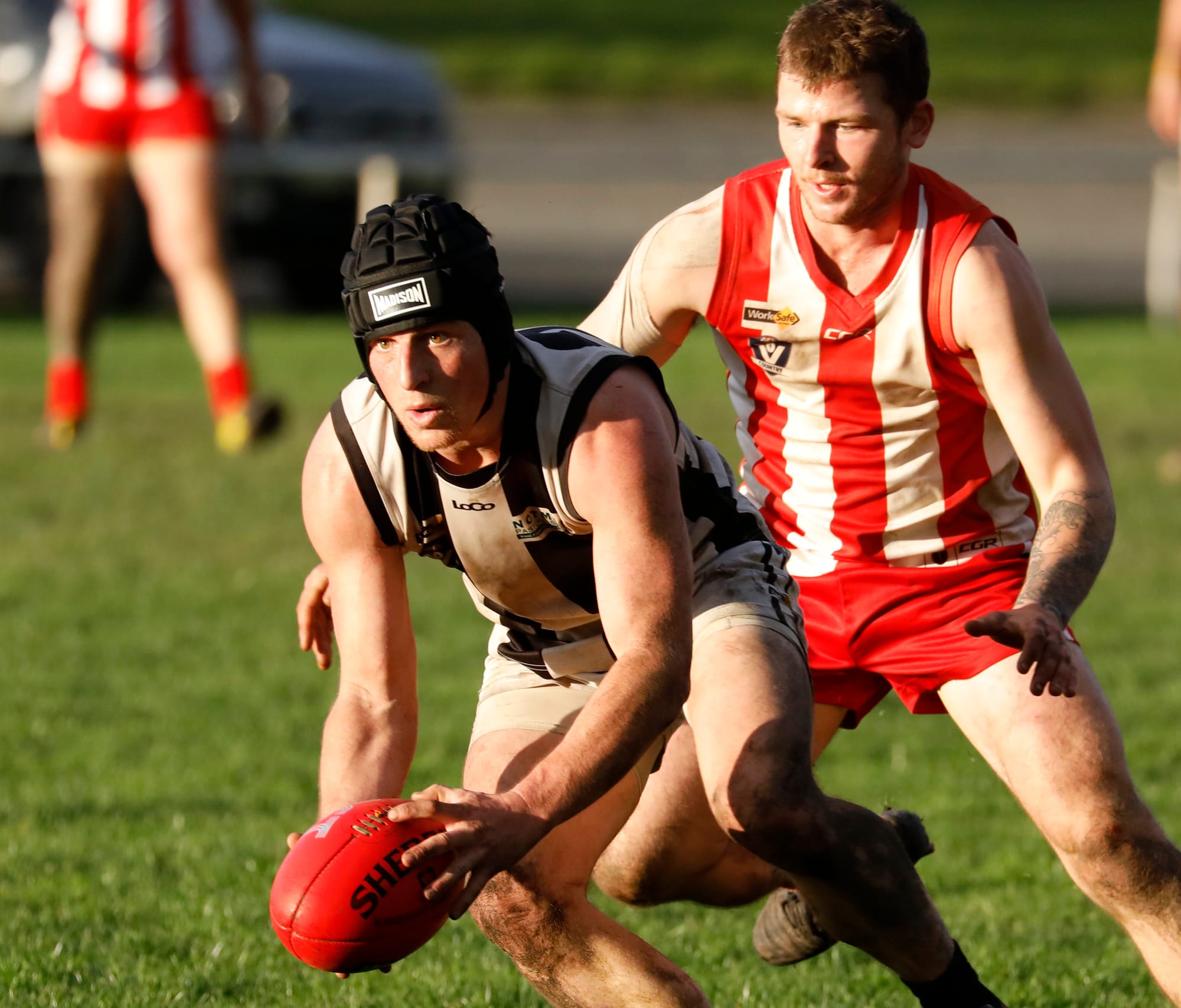 Intrigue as Eagles face Magpies in Ellinbank District footy
