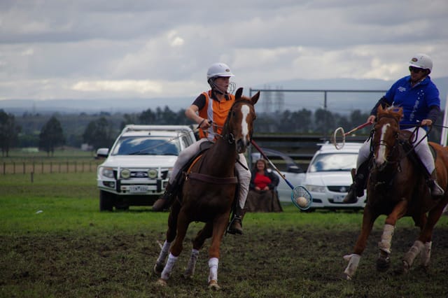 Trafalgar Polox - 2021 