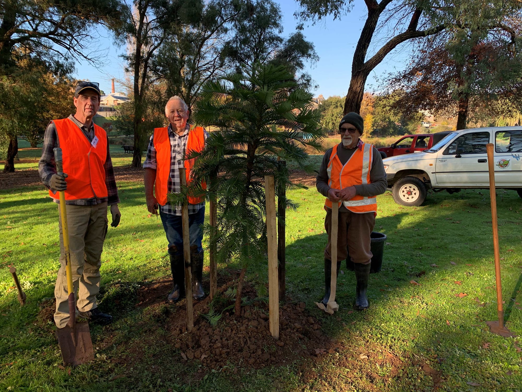 Planting one of four new trees at the Trees of Nations in Alex Goudie Native Park are (from left) Ian Swyer, Peter Ware and Bill Boardman.