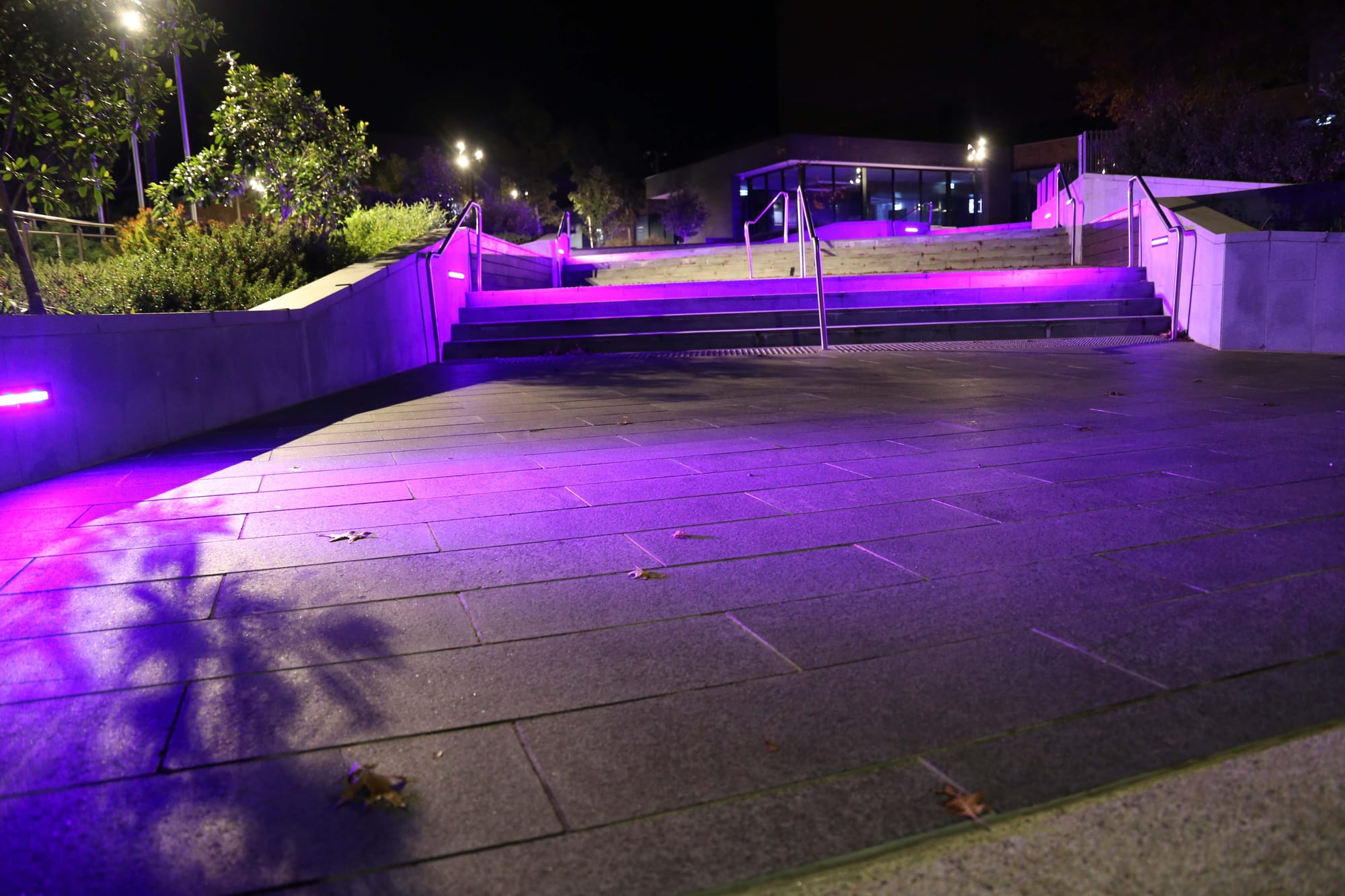 WGAC - Purple Lights - 03.05.2022