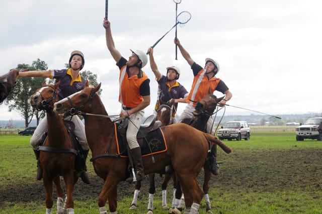 Trafalgar Polox - 2021 