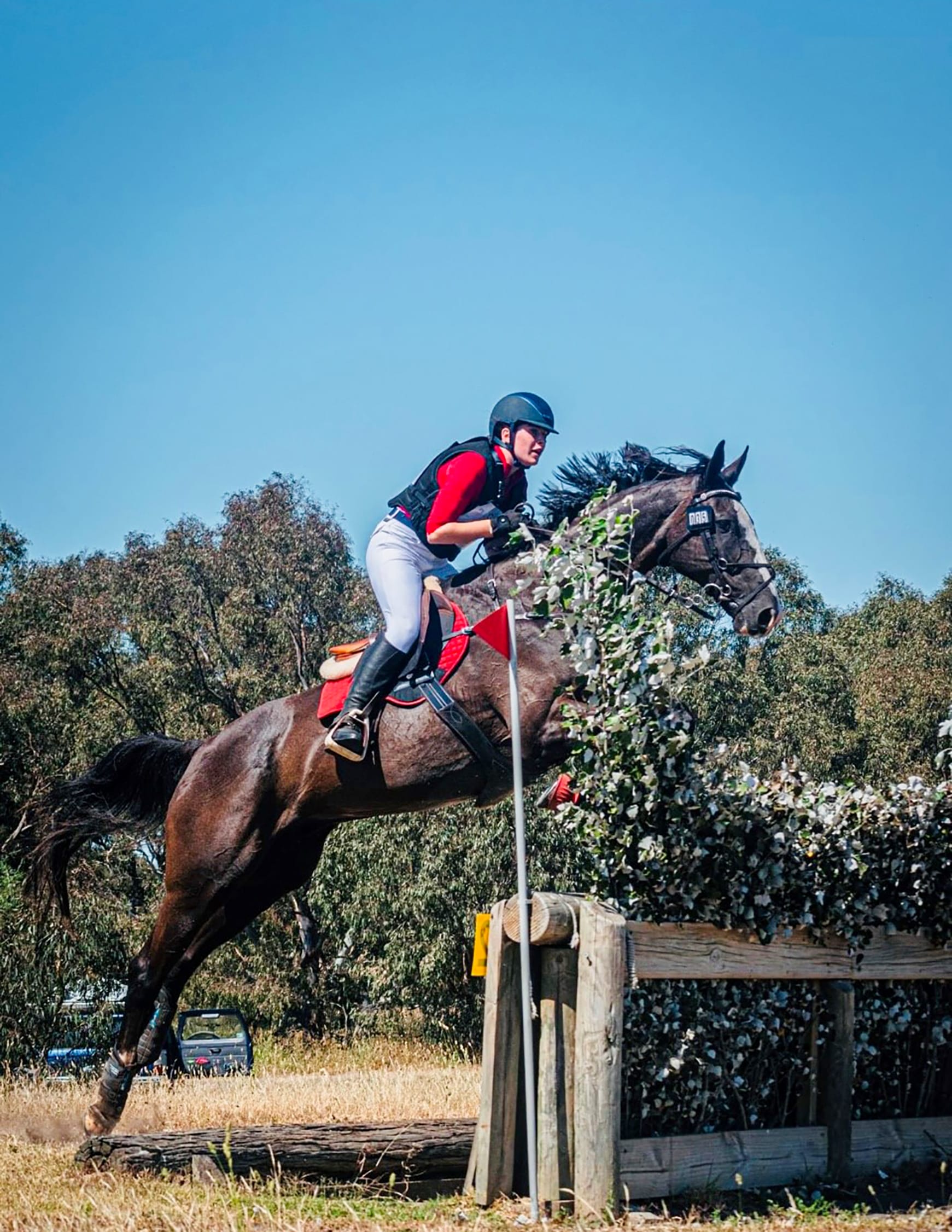 Equestrian success for St Paul's