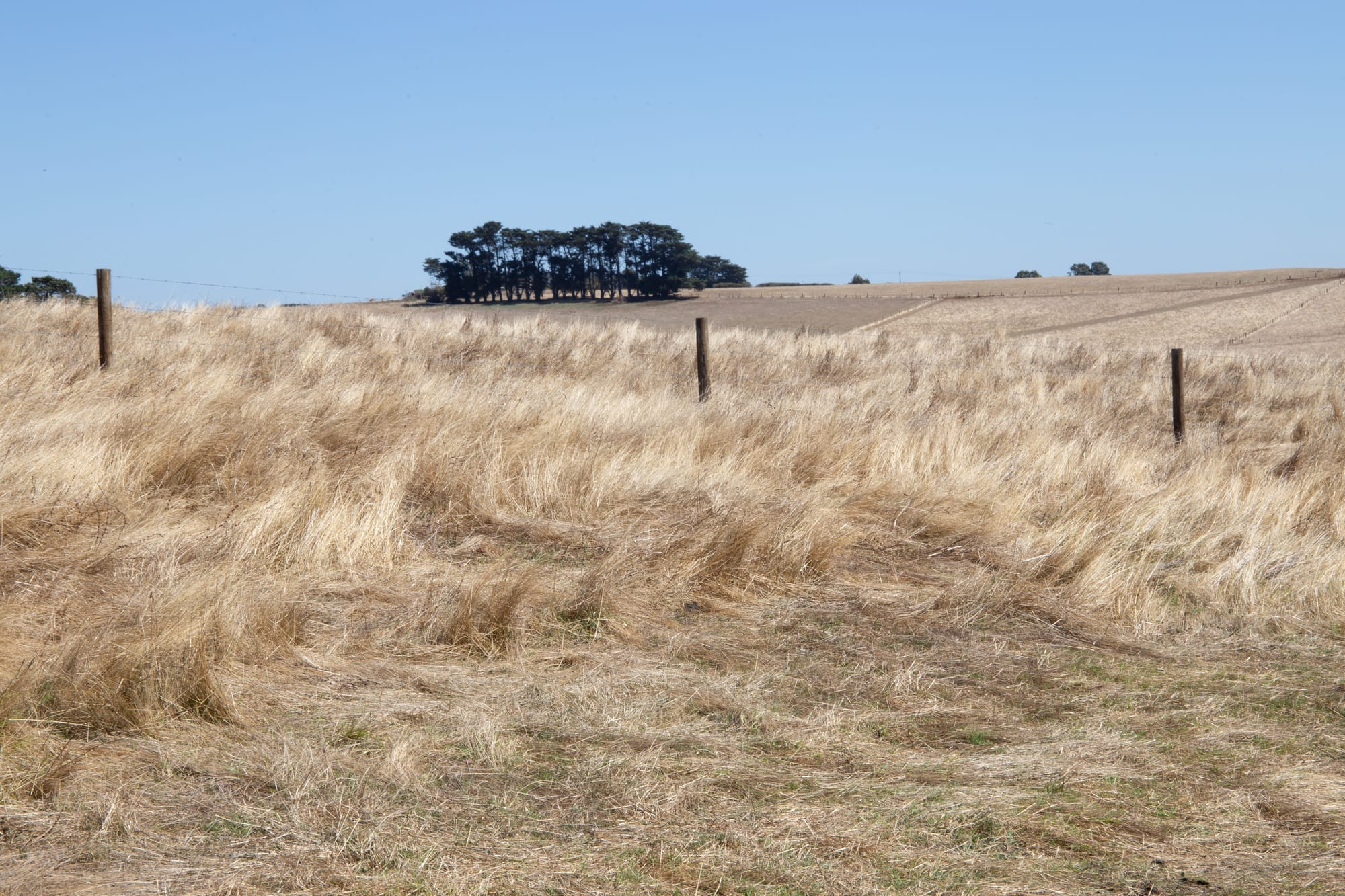Weekend rain ends a long dry spell
