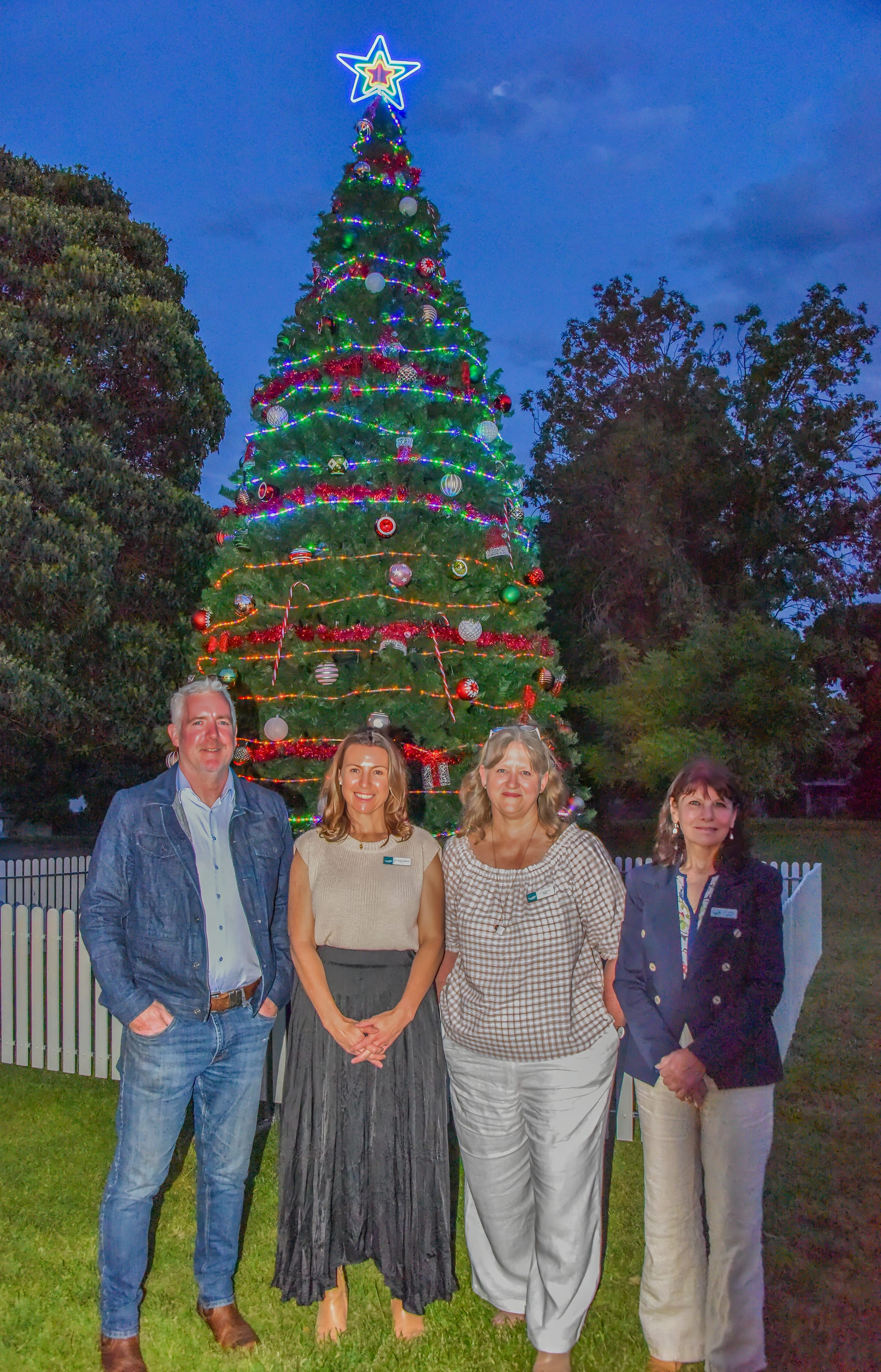 Tree lights up