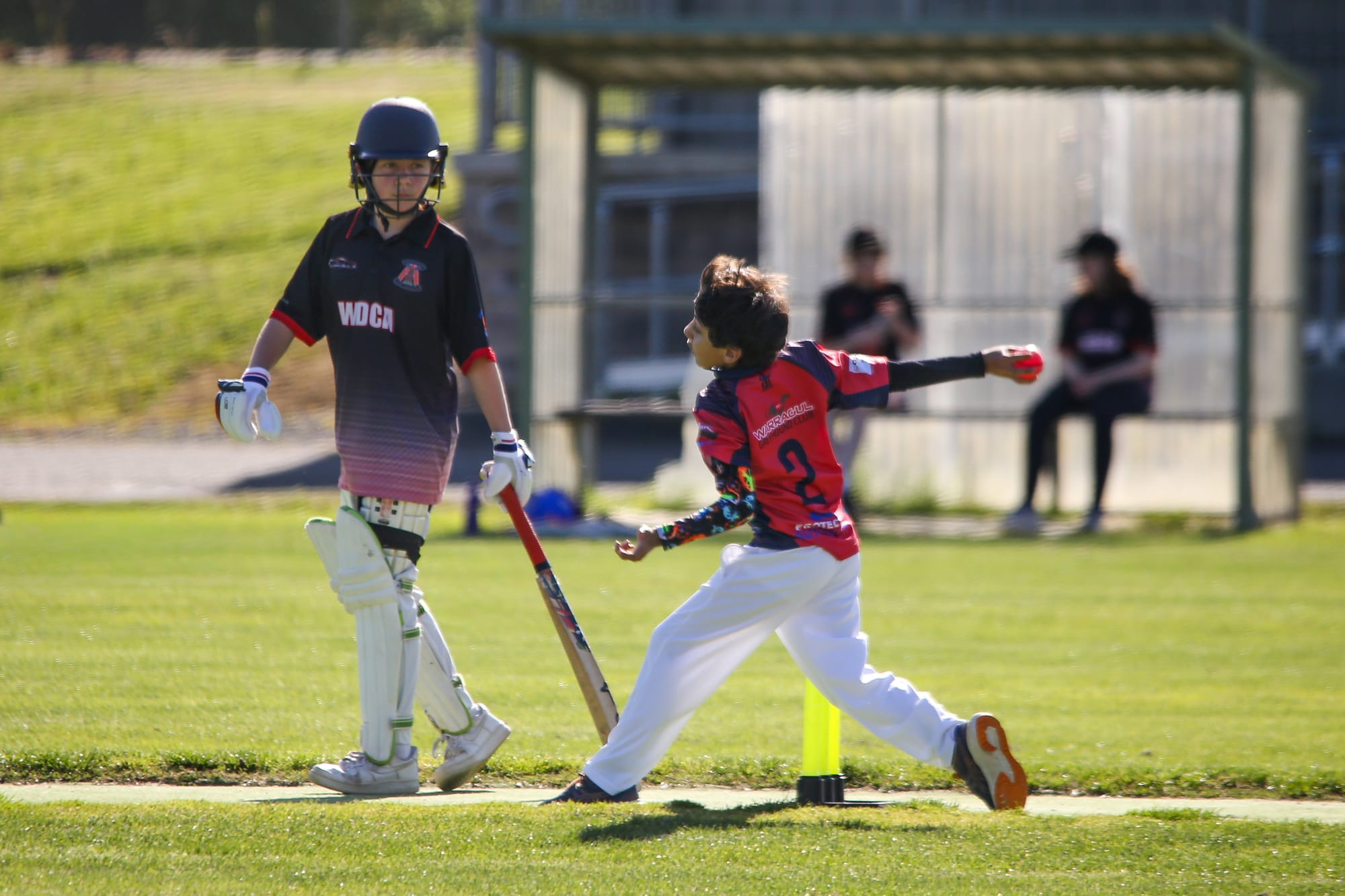 Girls cricket WDCA vs Buln Buln - November 19, 2025