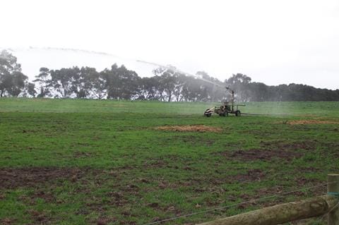 Use dairy effluent on silage growth