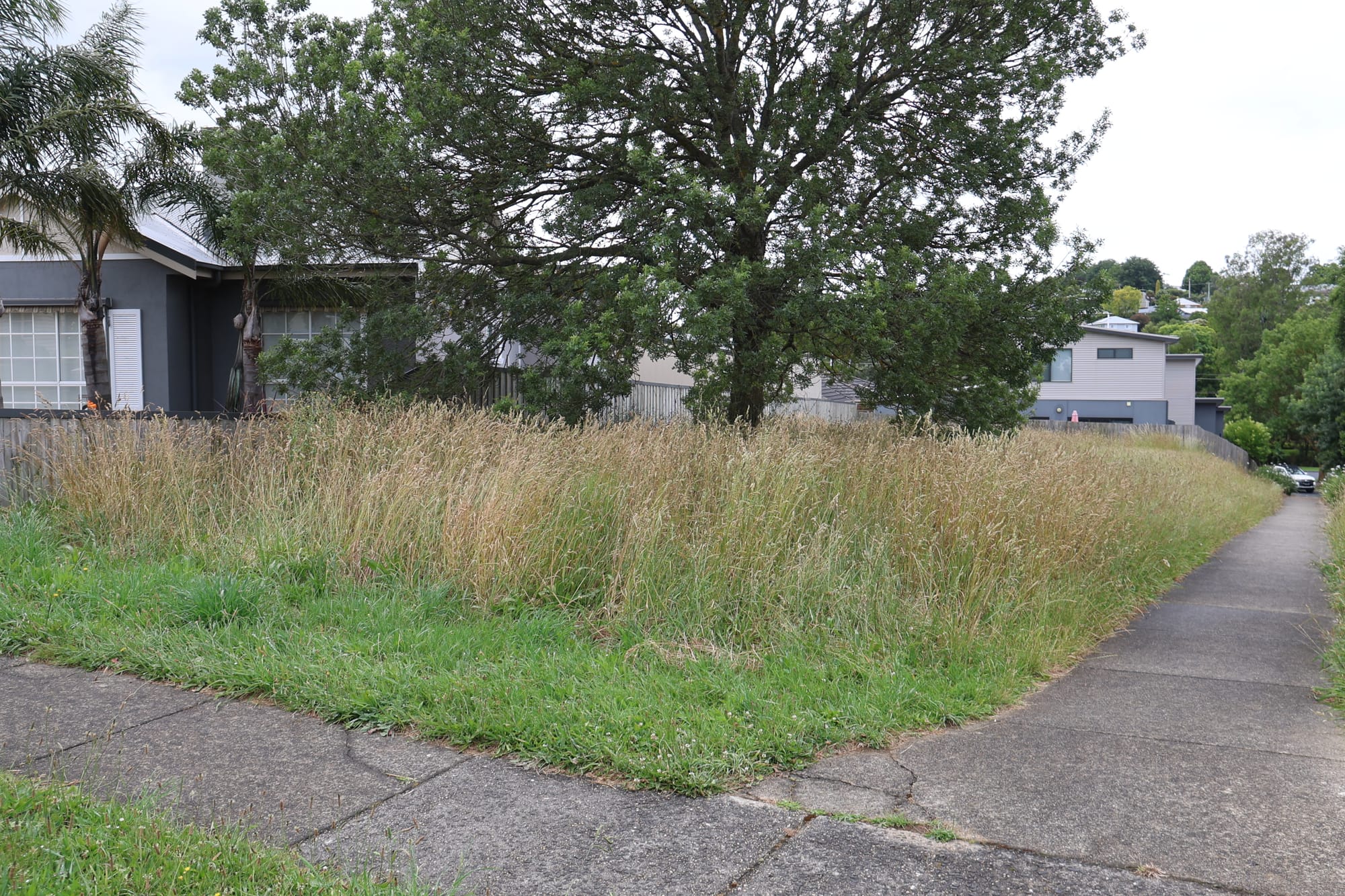 Action on overgrown block