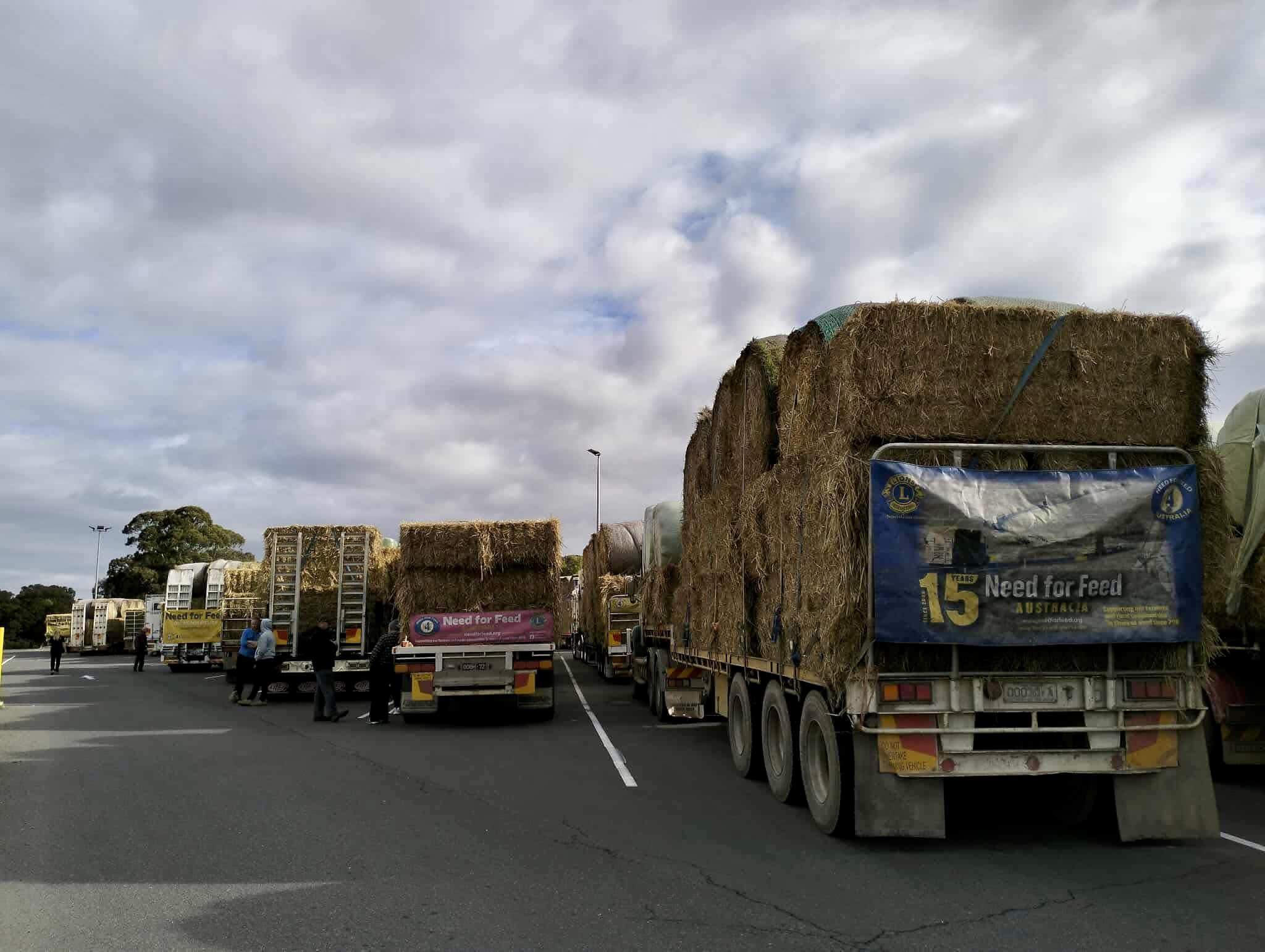 Hay donations needed