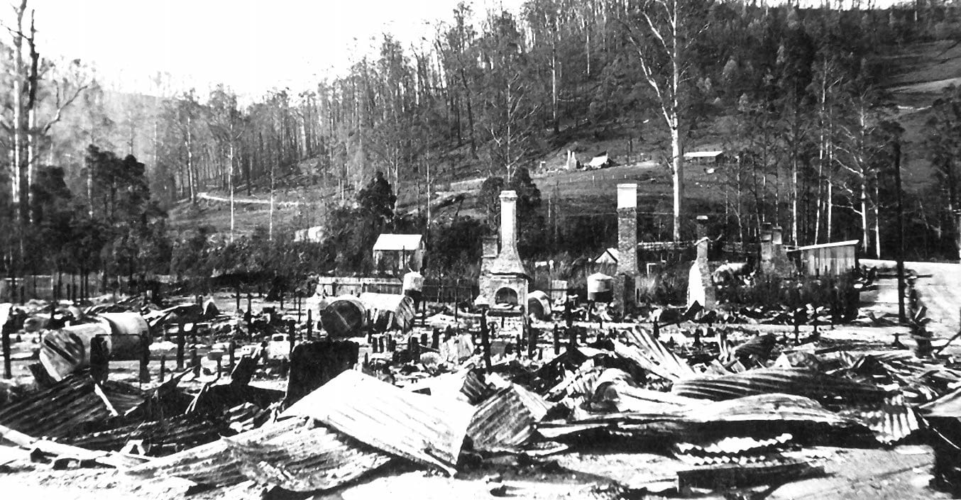100 years after the fires