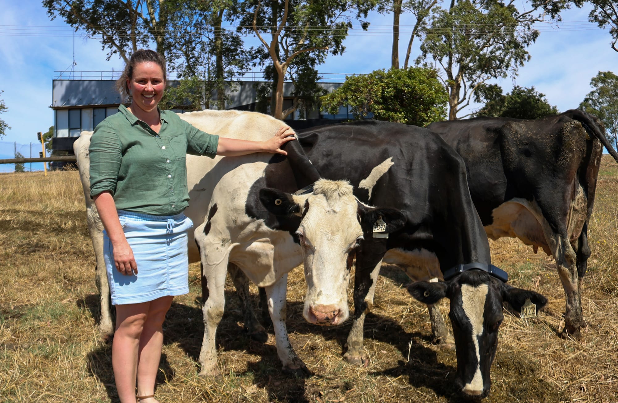 Virtual fencing product now approved