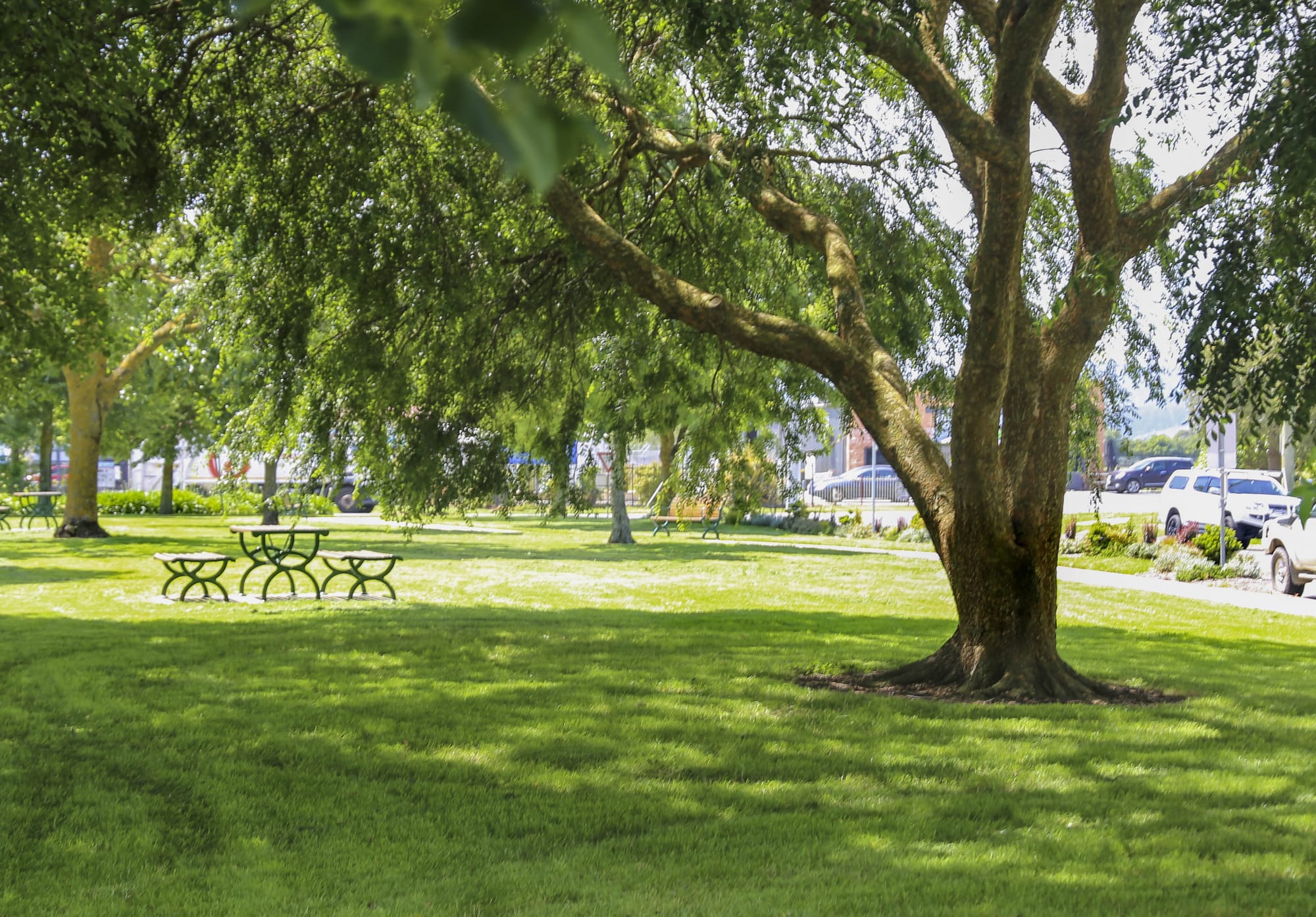 Have your say on Rawson park