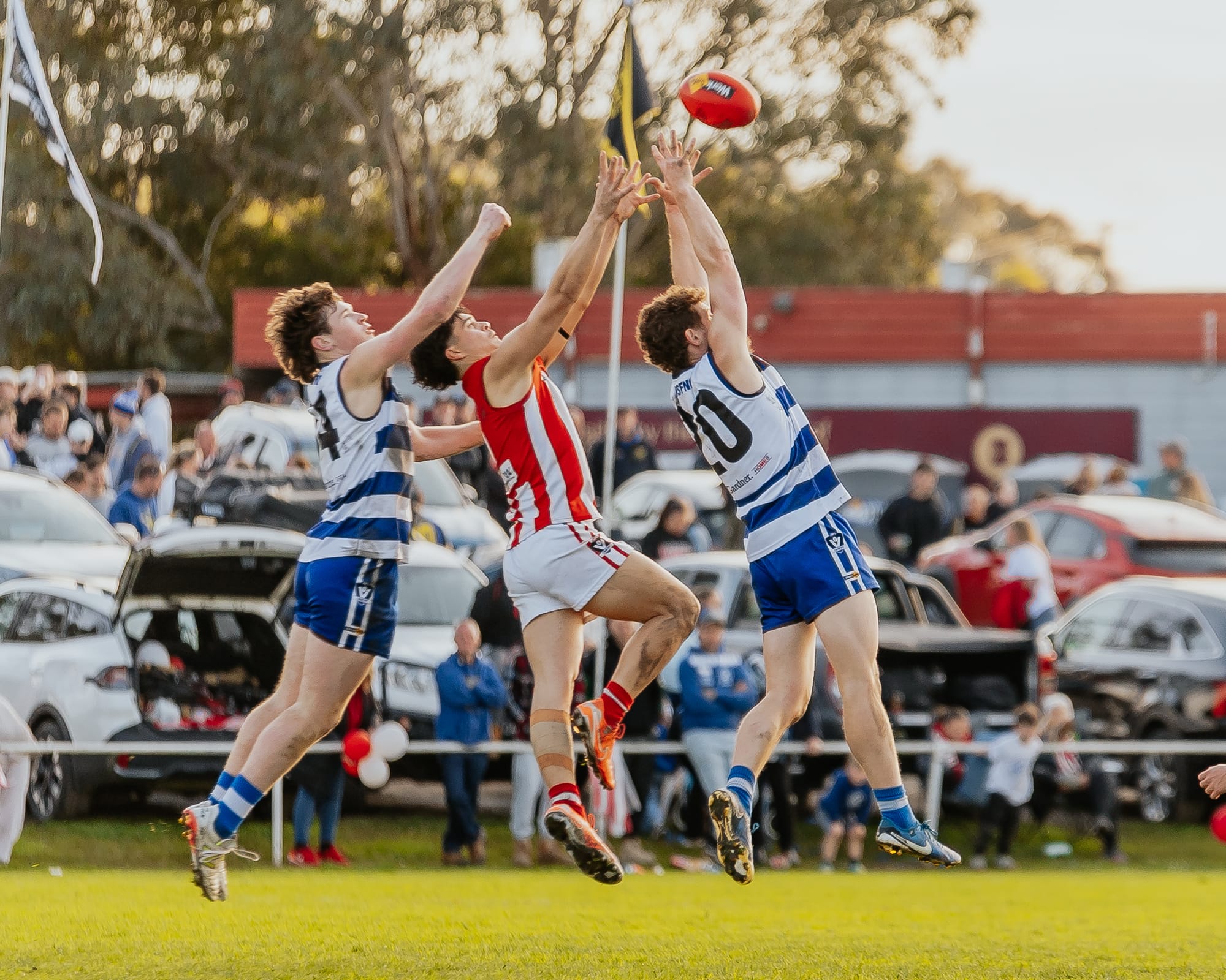 Grand final rematch looms