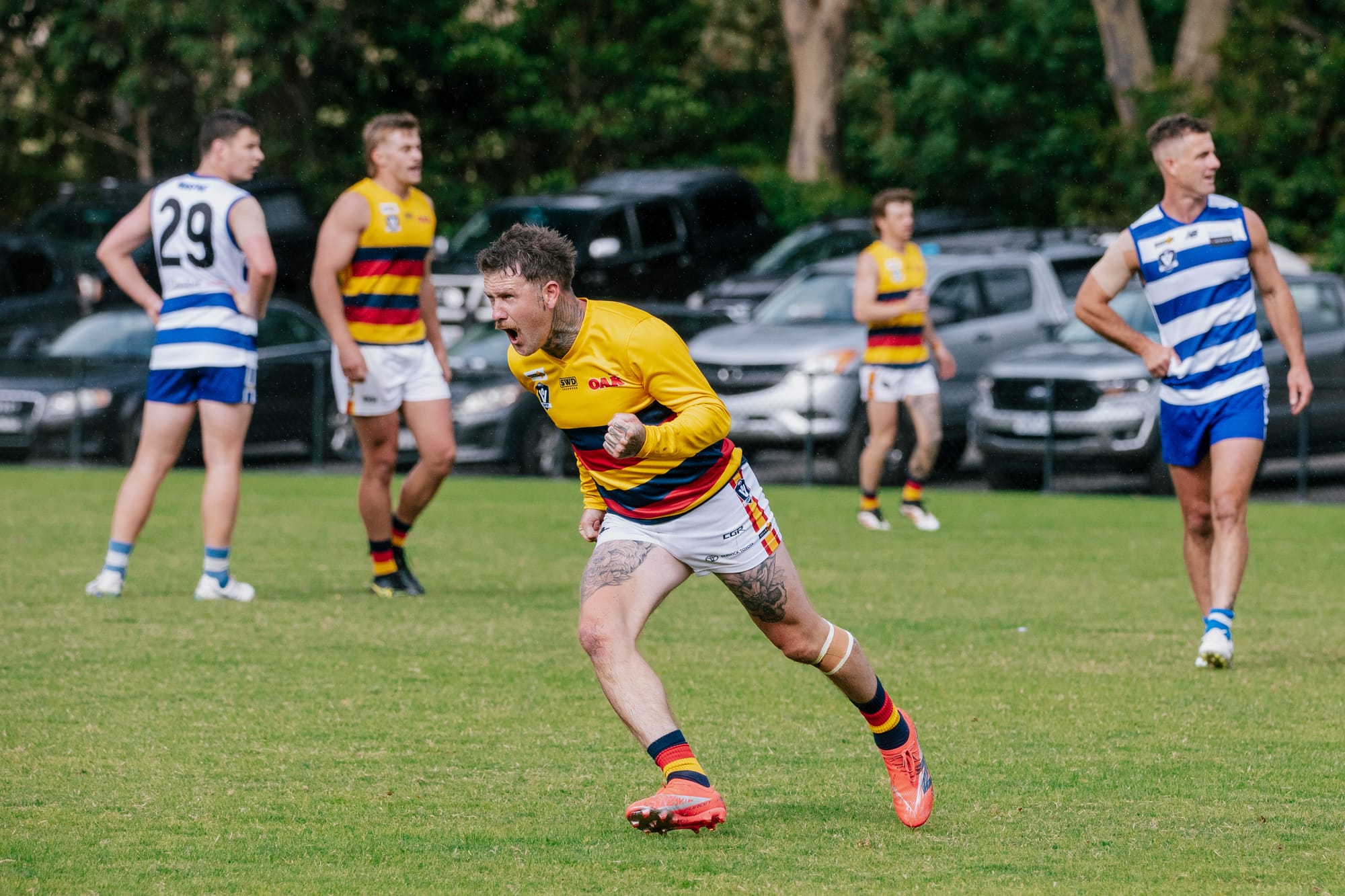 Crows tame Cats in thriller