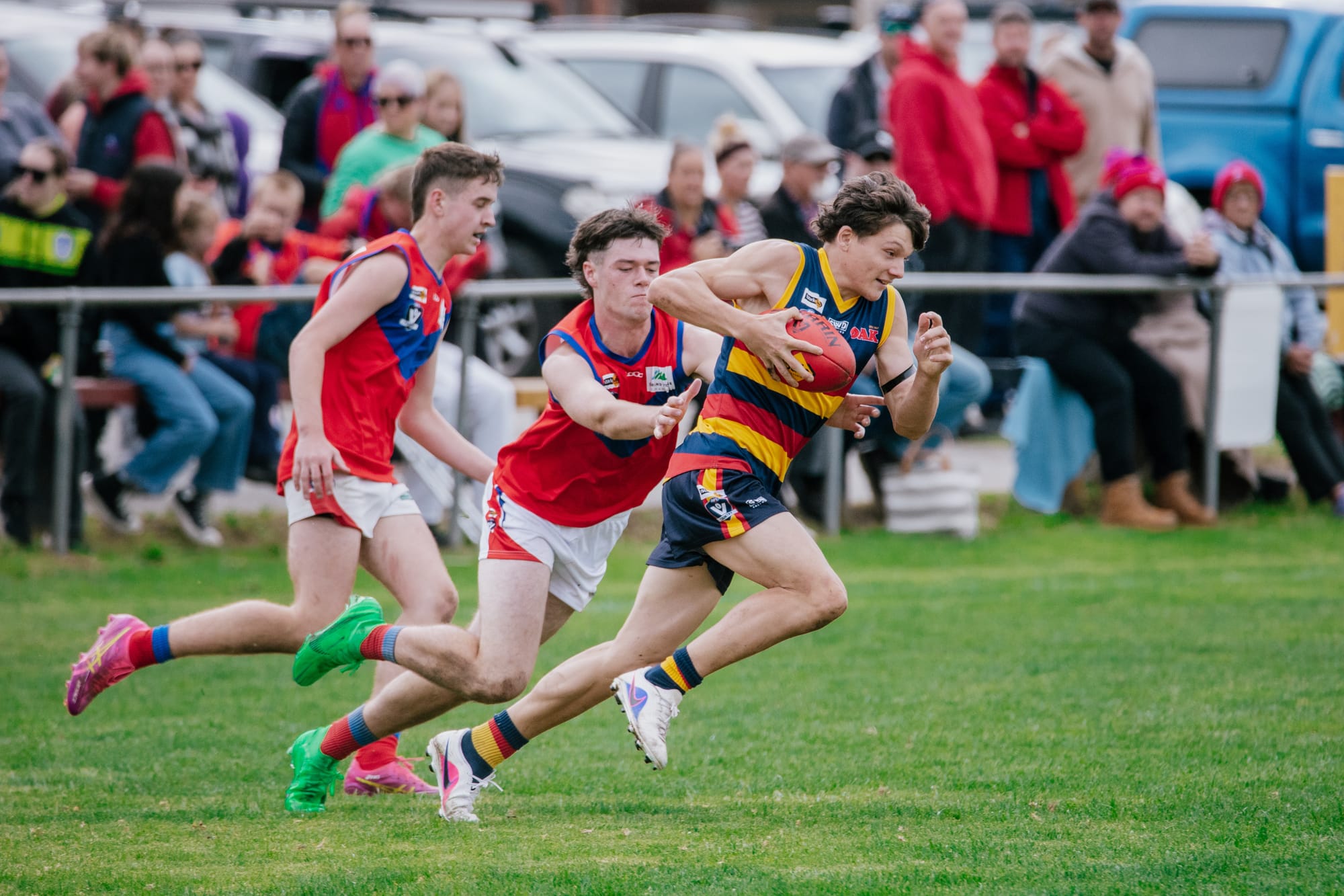 Tiger cubs storm home