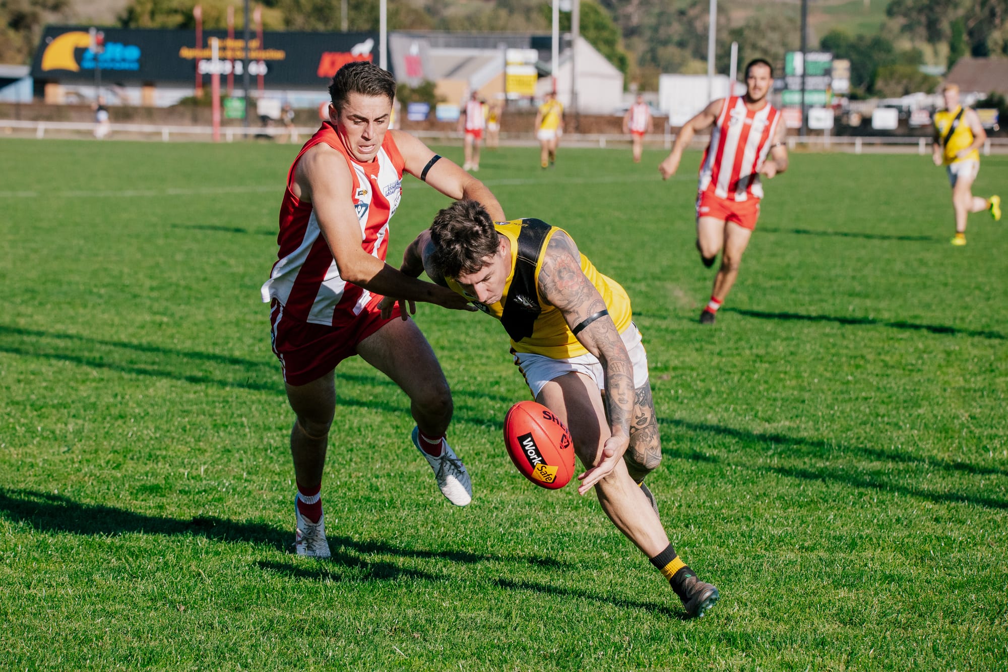 Bloods best Tigers
