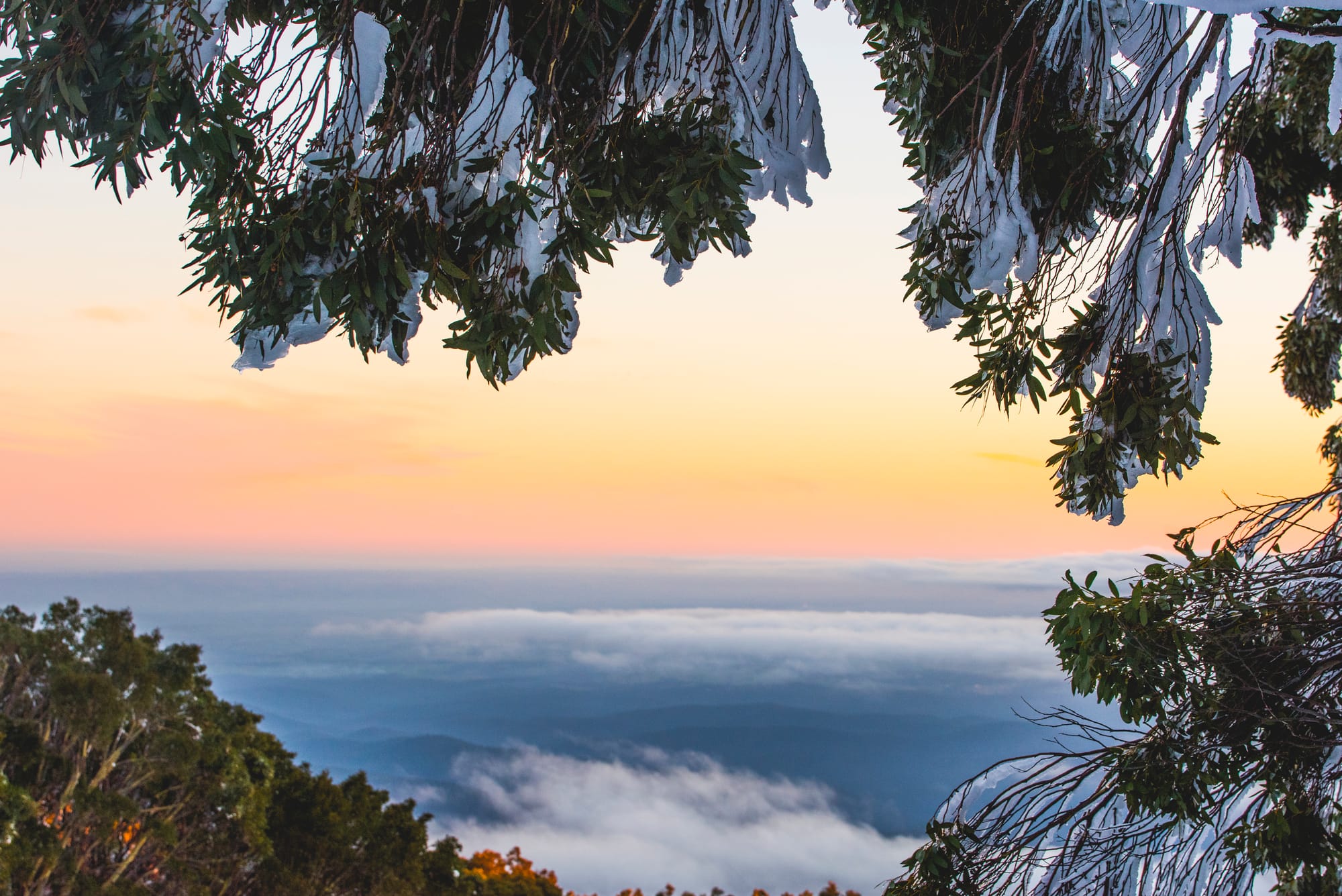 Petition calls for alpine funding