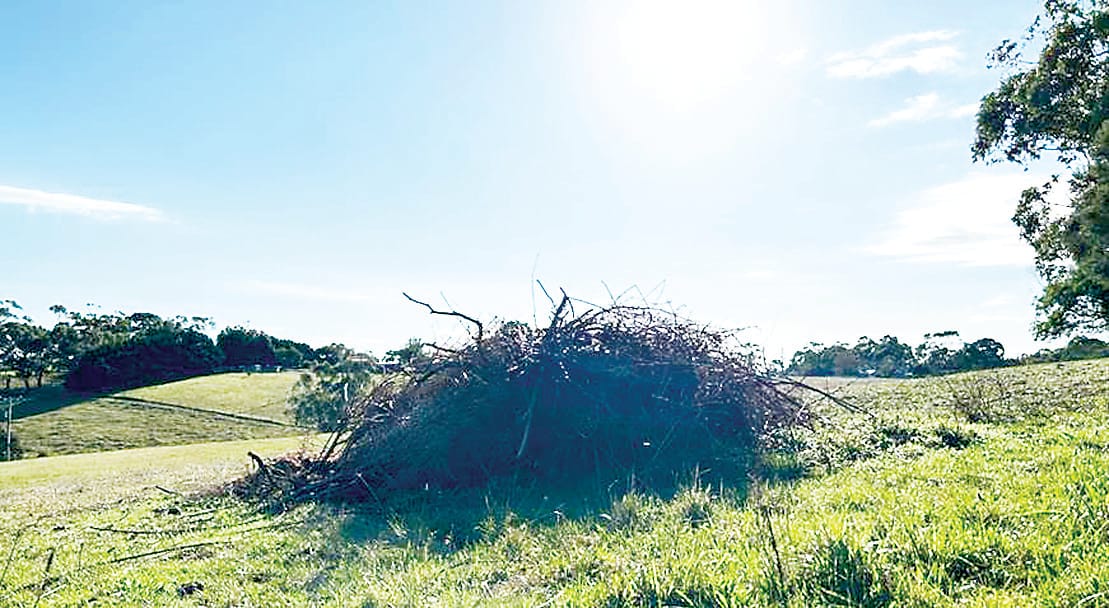 Burn piles can be a risk to stock