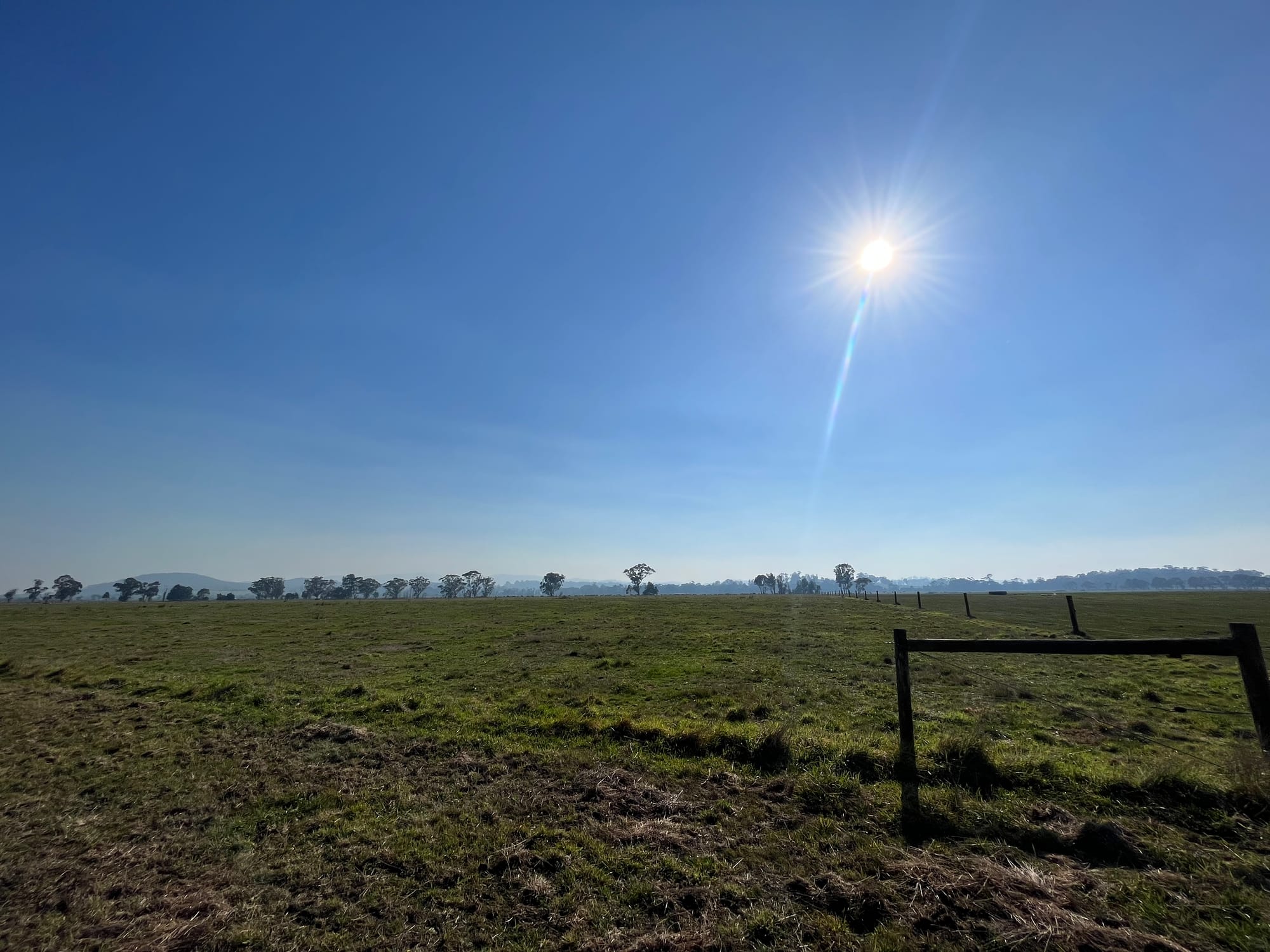 Environmental impacts assessed at BESS site