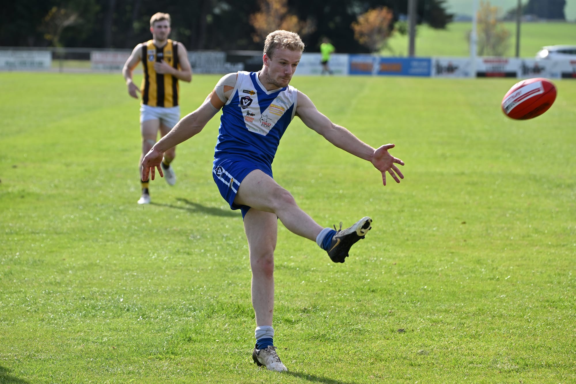 Blues press on over Hawks