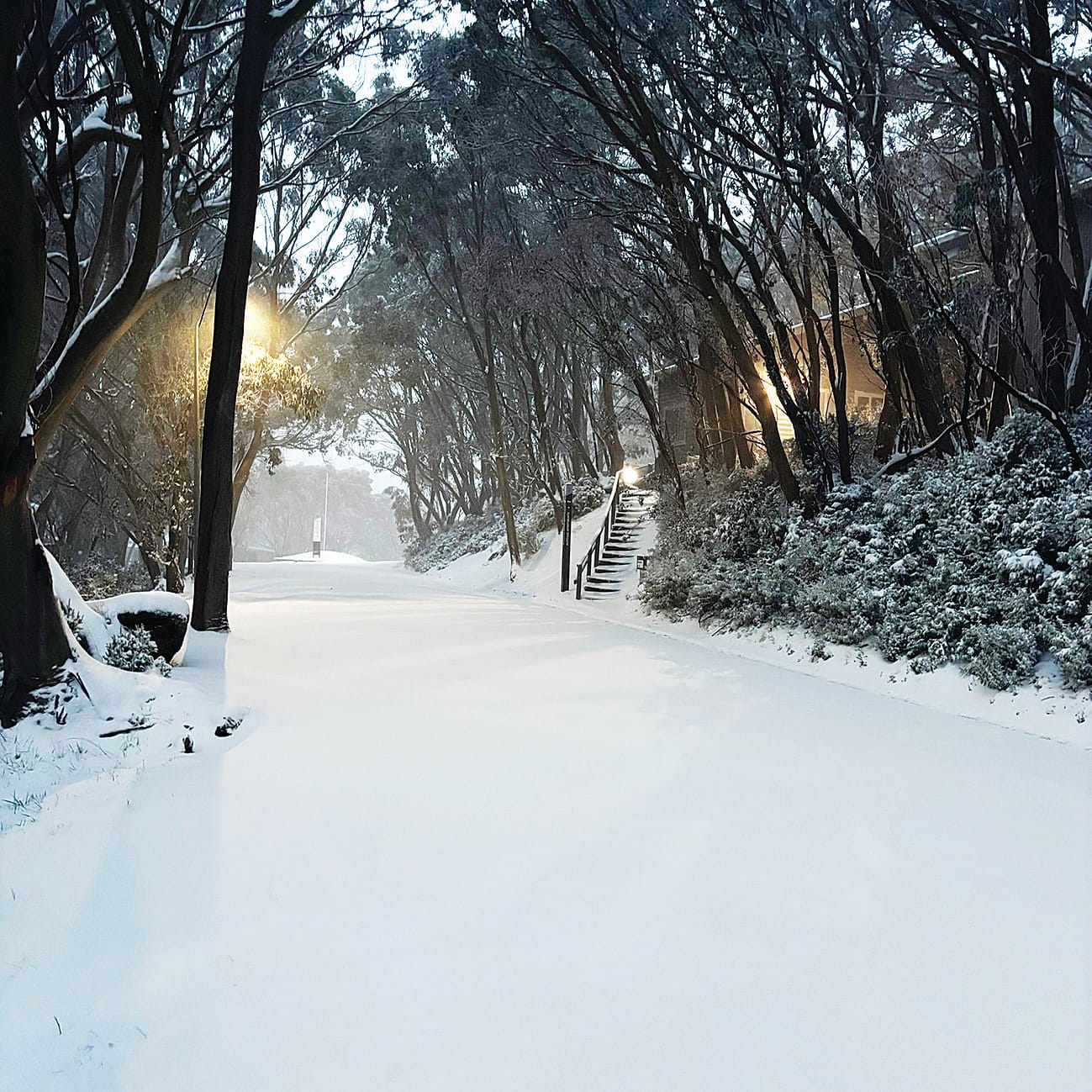 A May snow day on Baw Baw