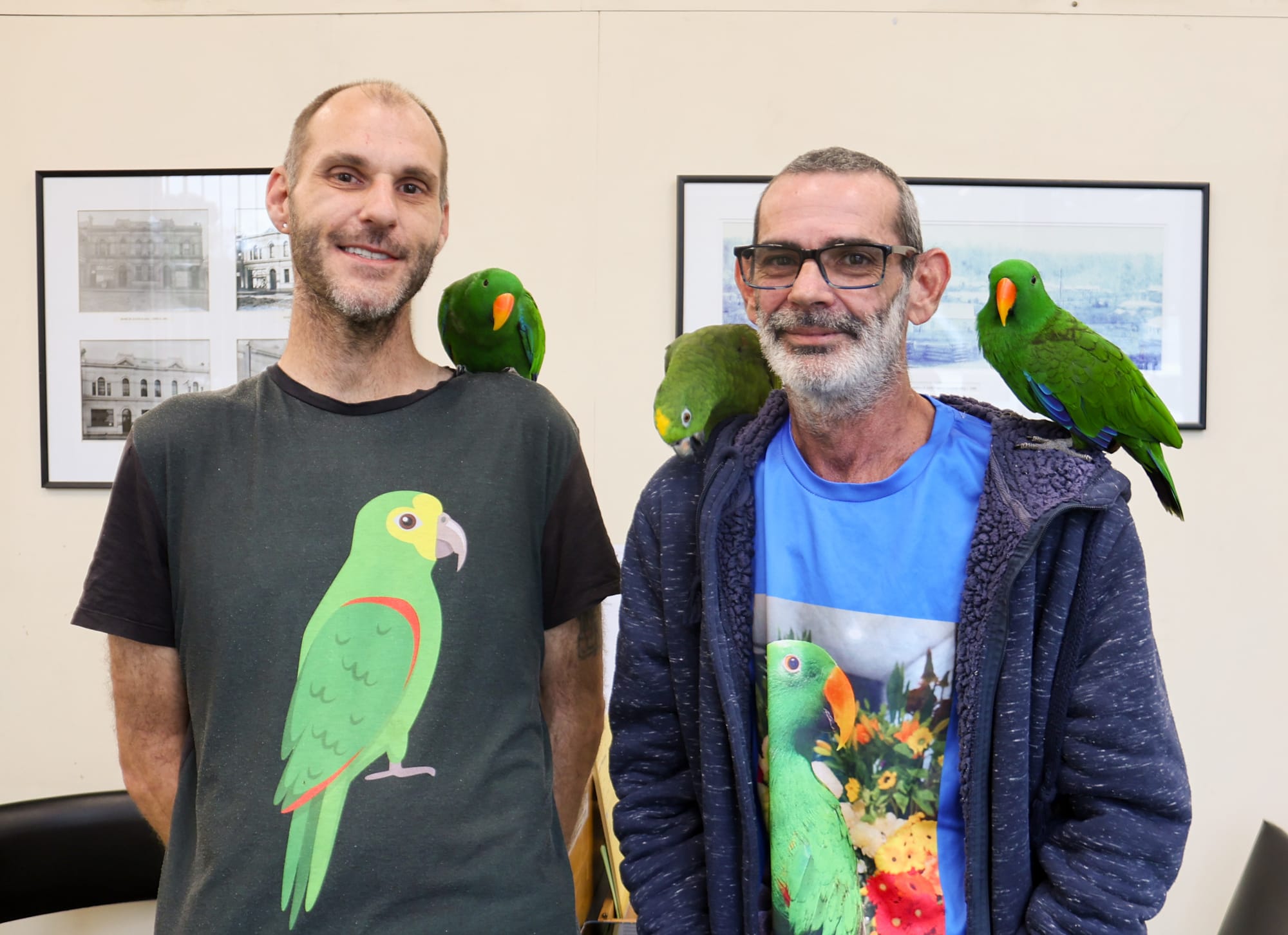Birds bring joy