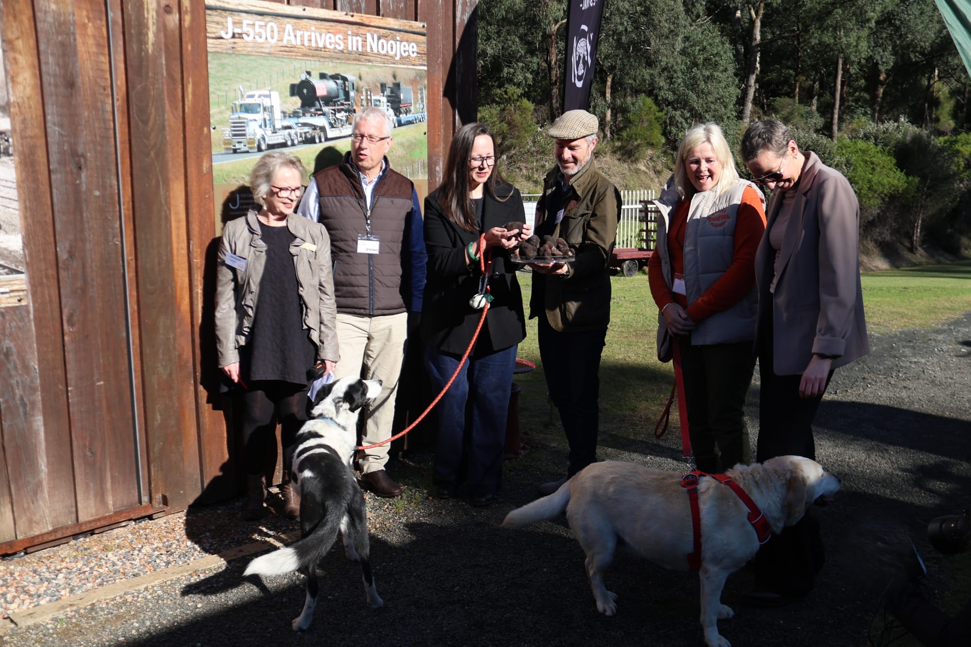 Noojee Truffle Festival launches