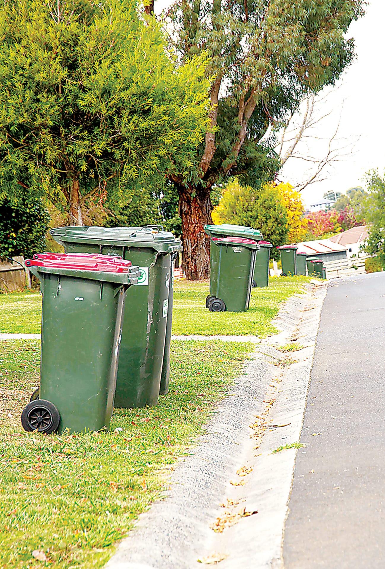 Bin petition amasses support