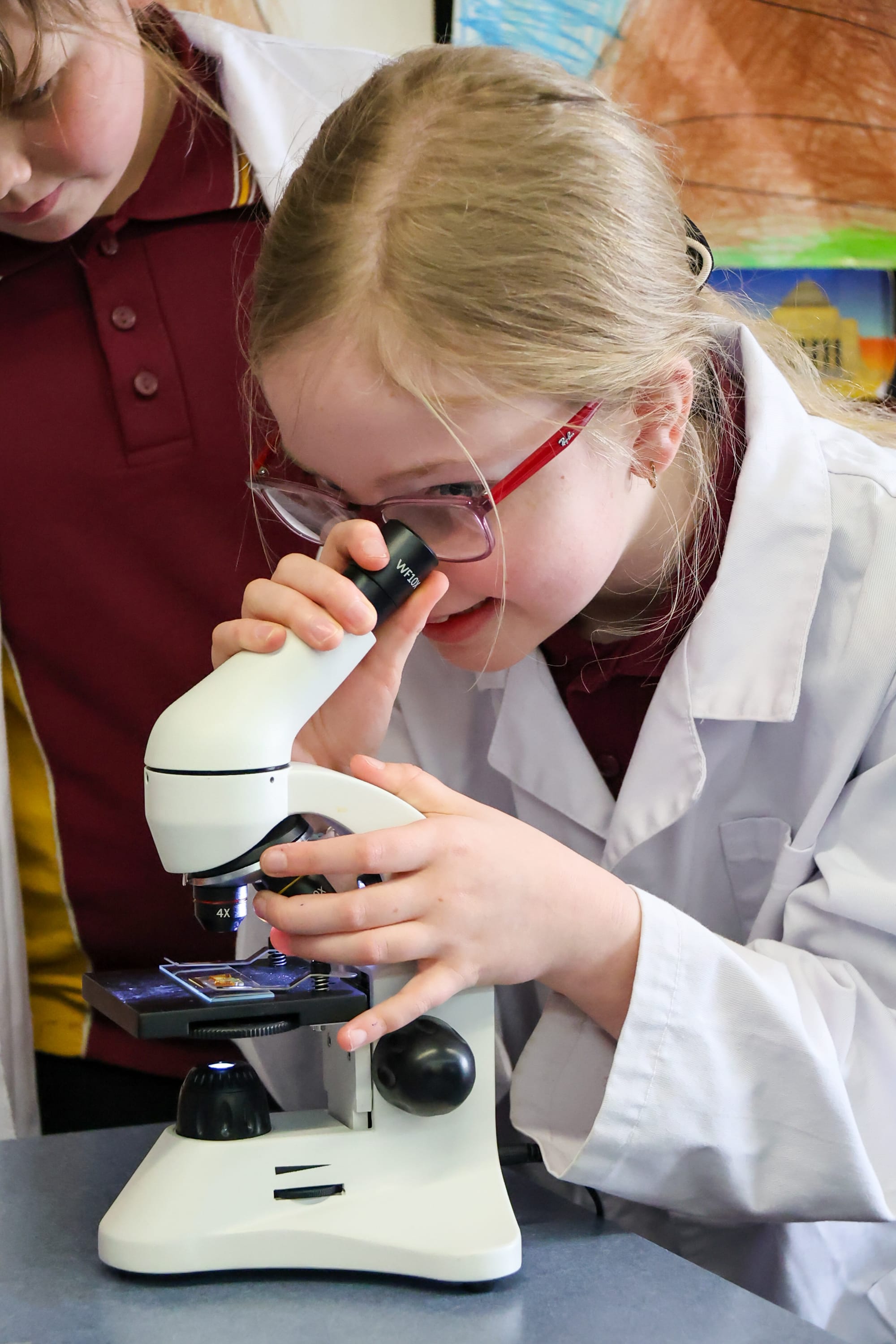 Putting science under the microscope