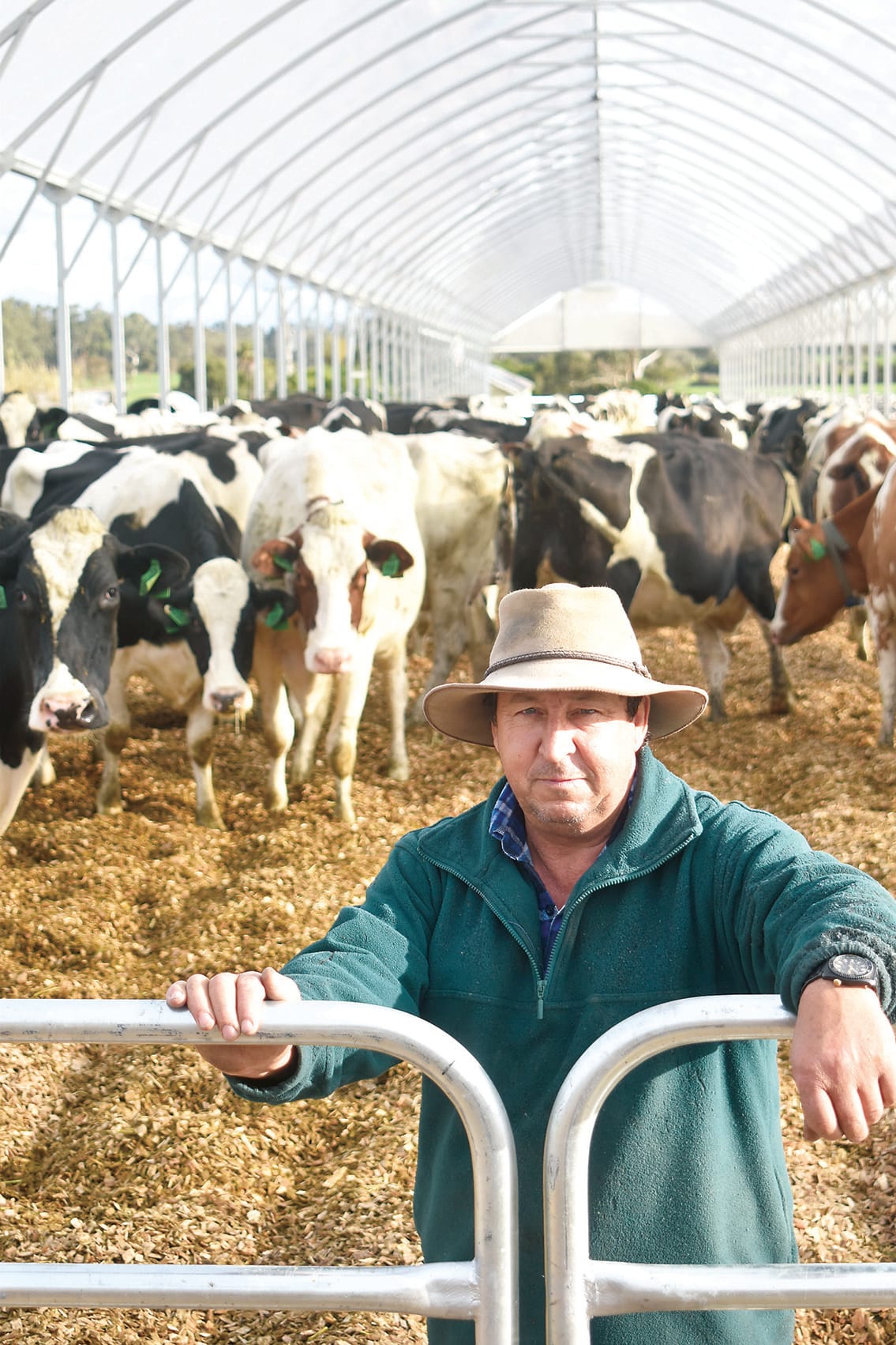 Celebrating 27 years of dairy and farming
