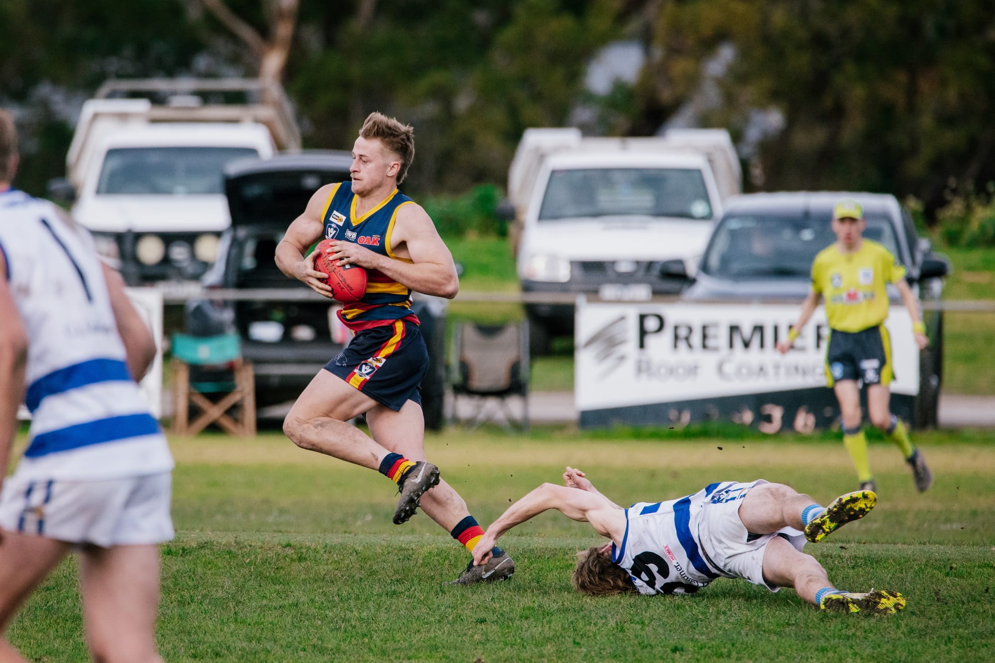 Crows clear Cats in finals preview