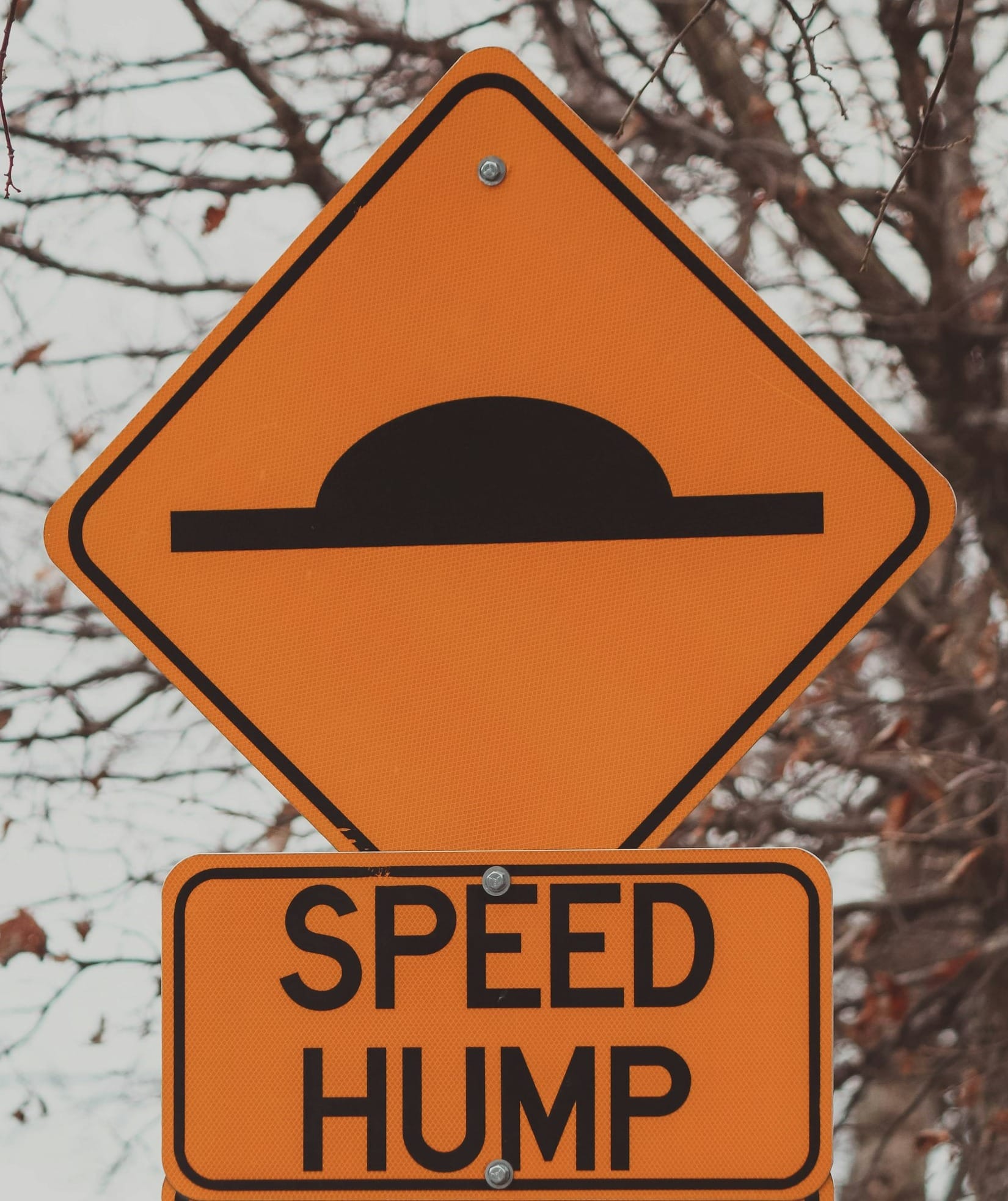 New speed humps