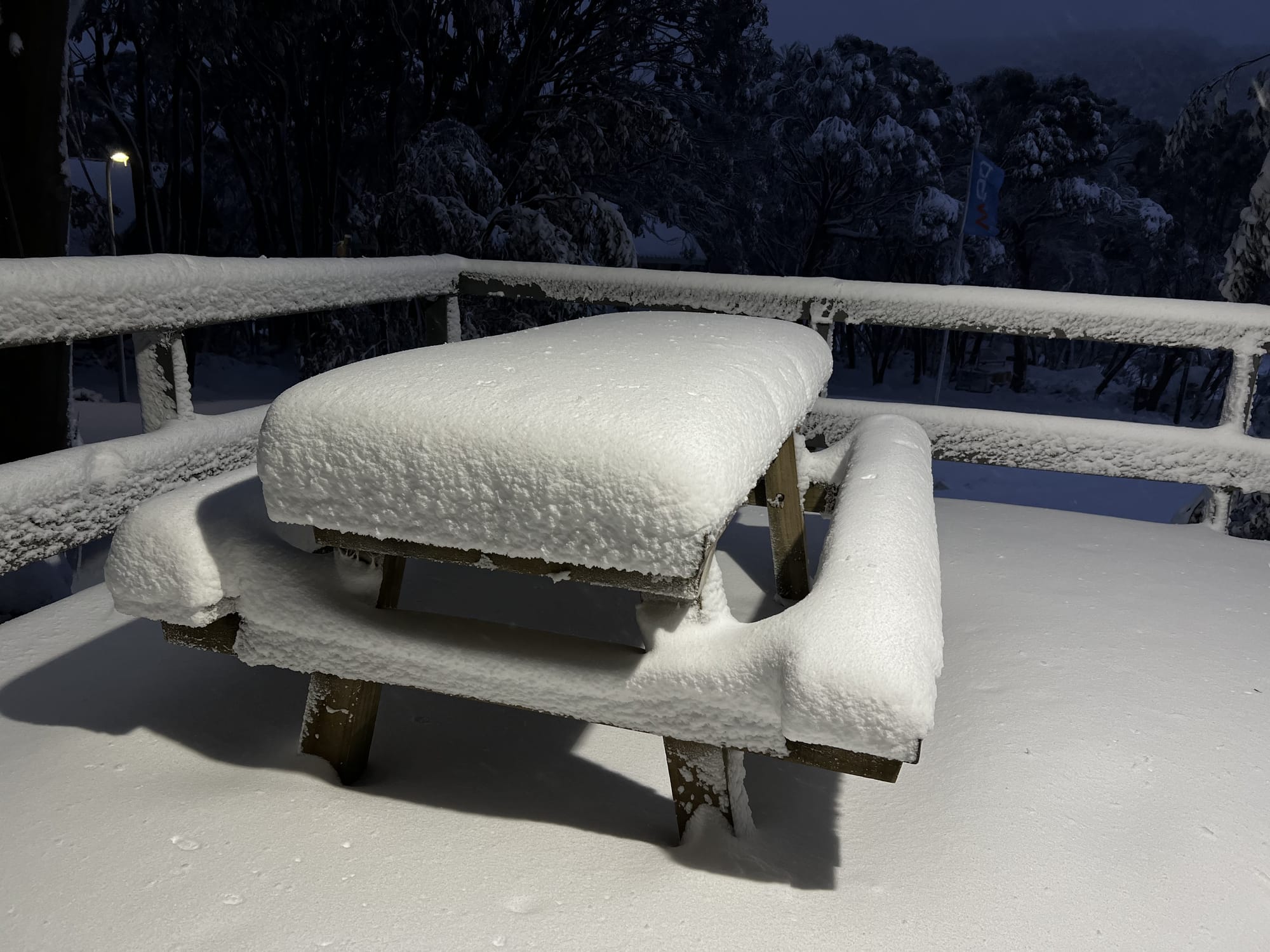No business for snow business