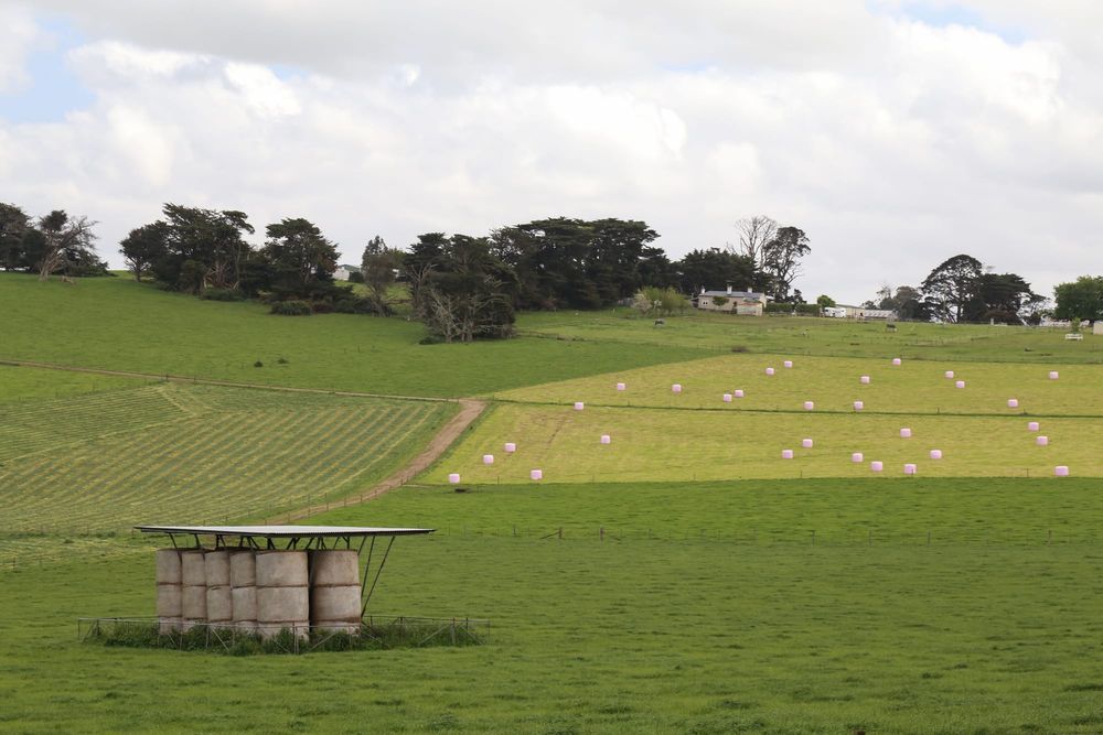 Calling agricultural women post image