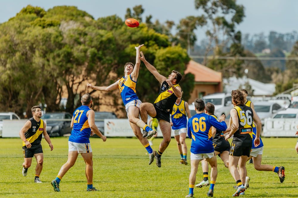 Tiger tussle awaits Eagles in Ellinbank and District footy post image