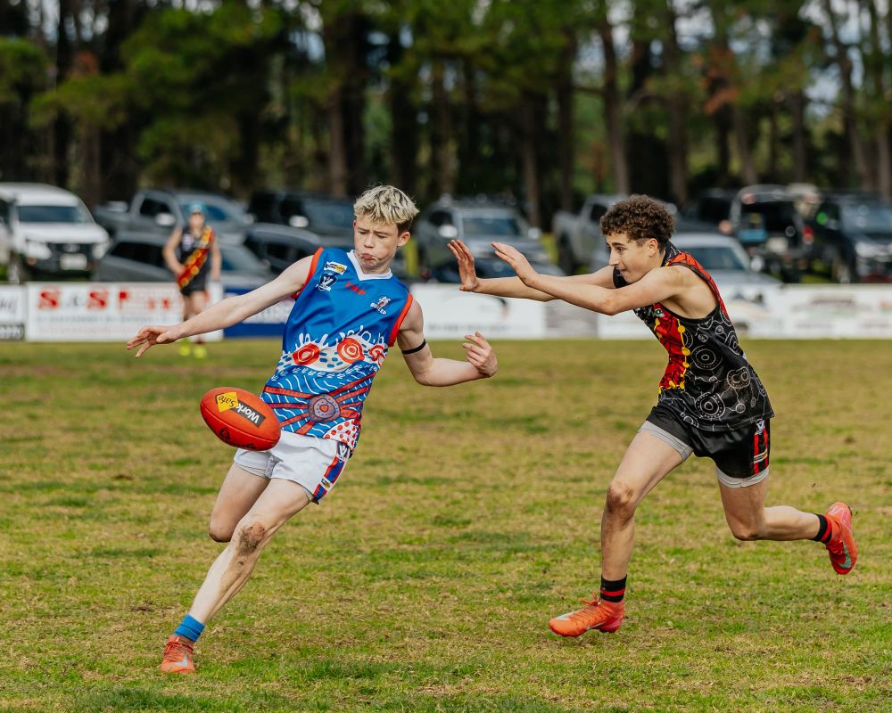 Bulldogs batter Bombers in big win post image