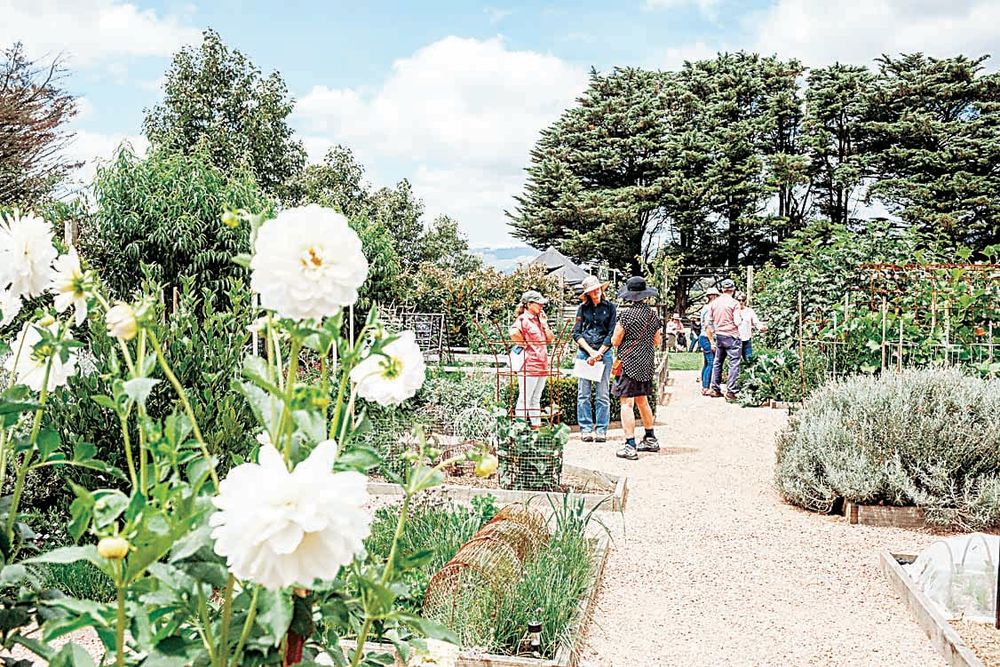 Explore local gardens this weekend post image