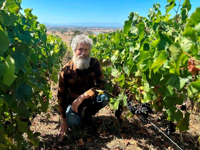 Bill Downie Wines - 18.03.2025 post image