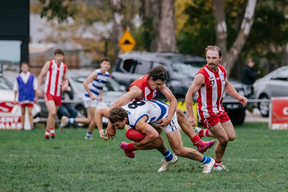 EDFNL Senior football - Trafalgar v Neerim South - April 26, 2025 post image