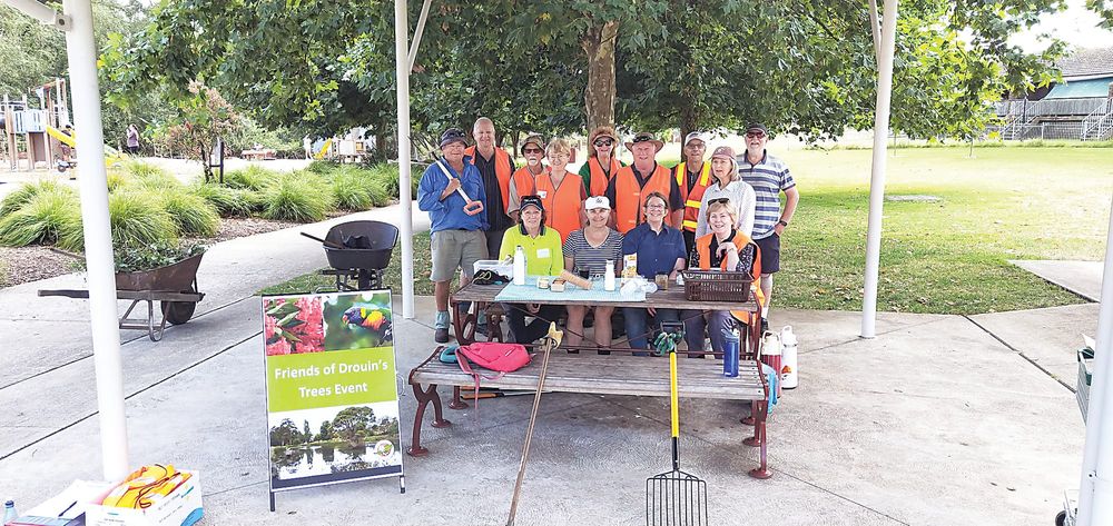 Volunteers needed for Friends of Drouin's Trees post image