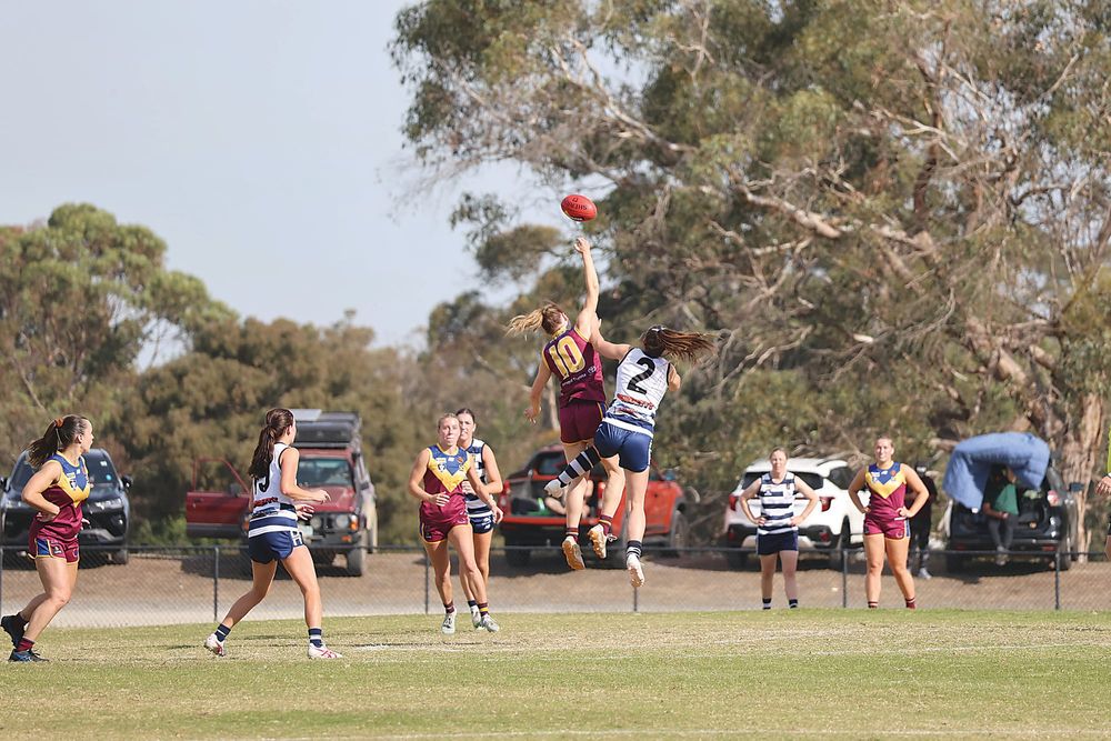 Dusties domination post image