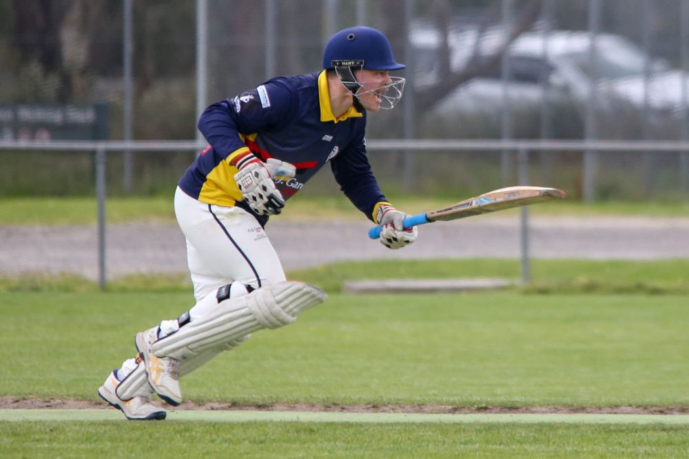 Cats by a whisker in division three post image