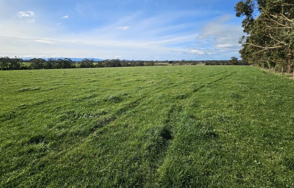 Battery proposals on farms post image