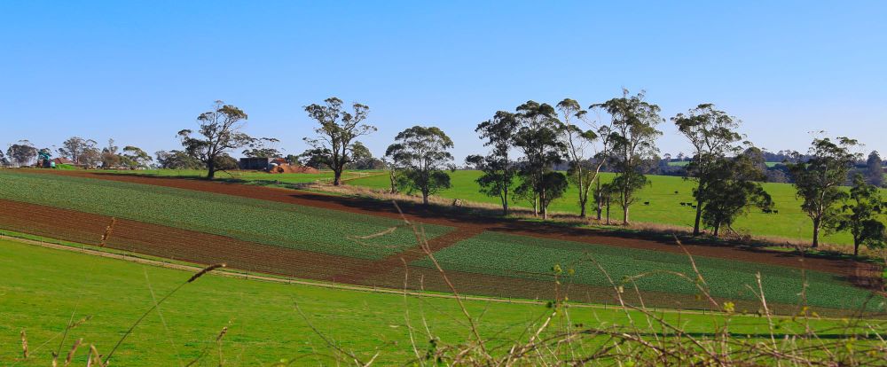 Farmers' frustration at levy post image