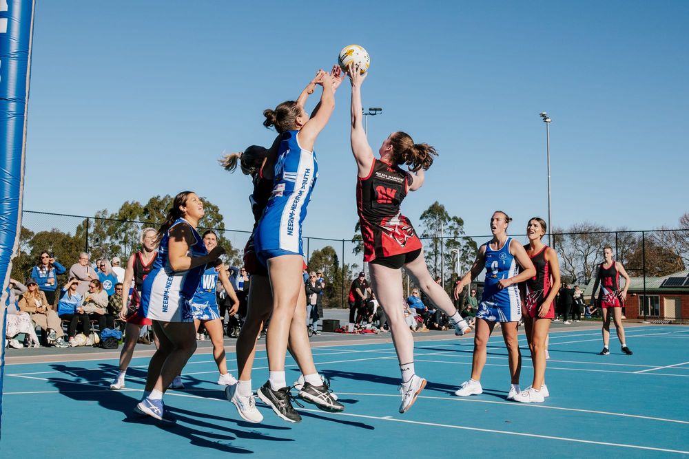 Cats defeat Bombers post image