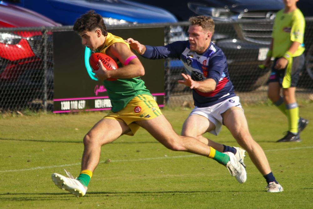 Stars soar past Panthers post image