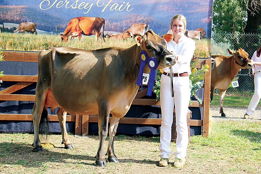Exhibitiors continue Jersey fair tradition post image