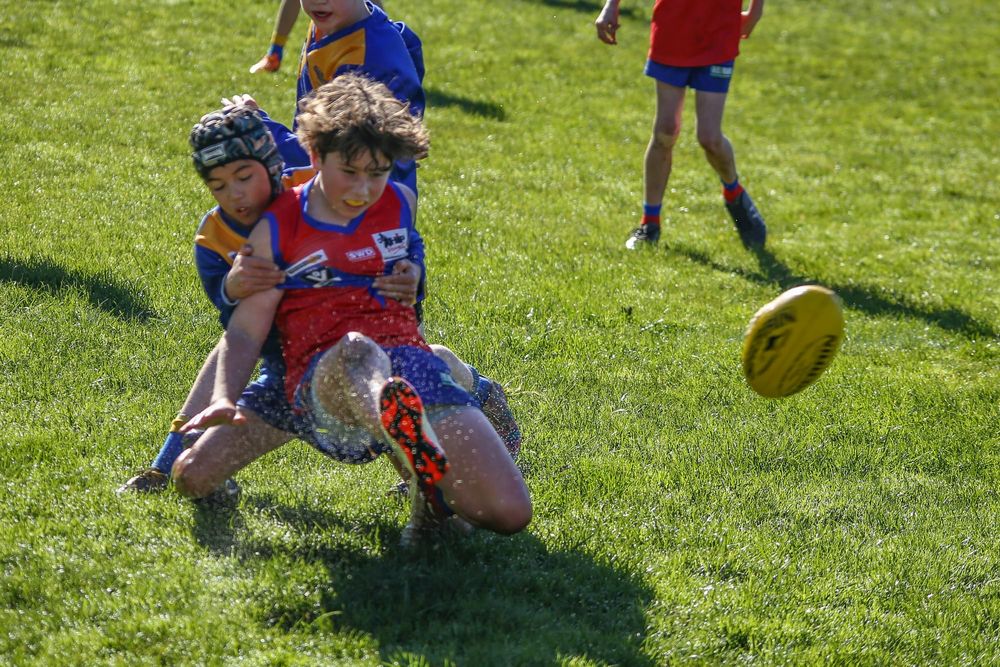 WDJFL under 12 Ellinbank vs Buln Buln - August 9, 2025 post image