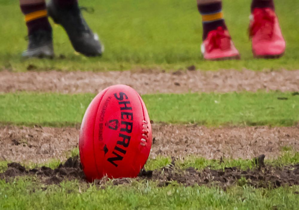 Maroons maul Gulls post image