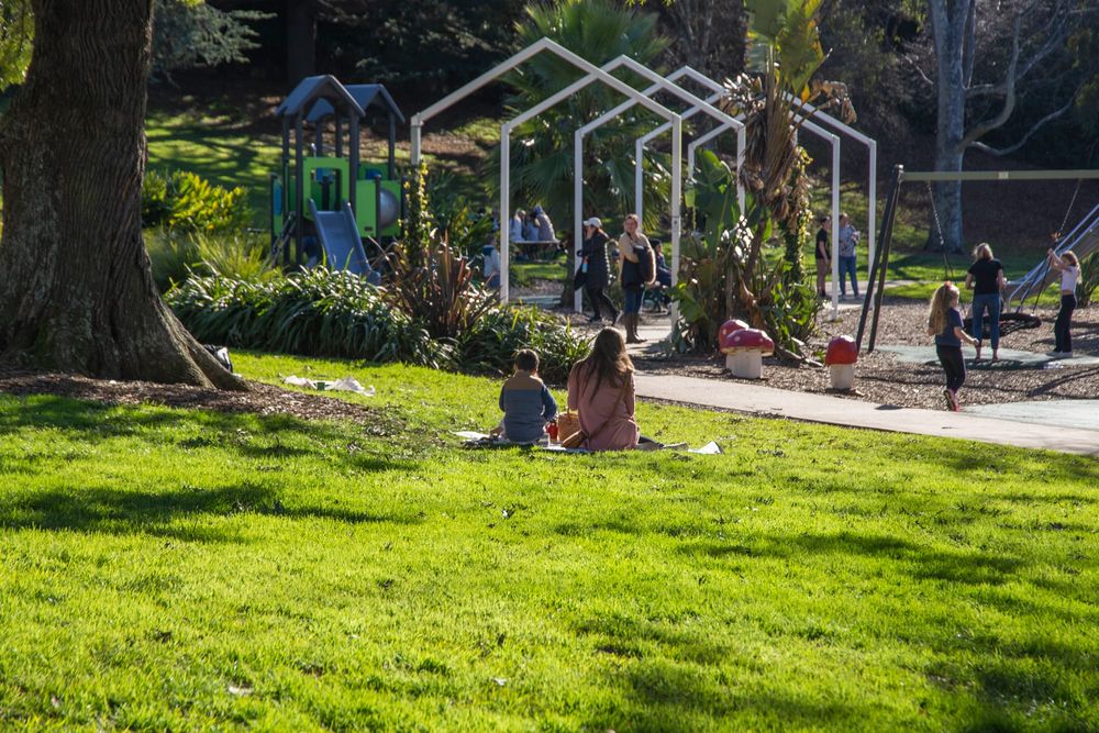 Civic Park fencing rejected - but super park to be considered post image